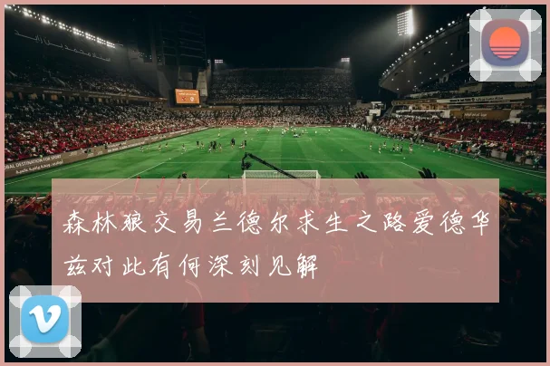 森林狼交易兰德尔求生之路爱德华兹对此有何深刻见解